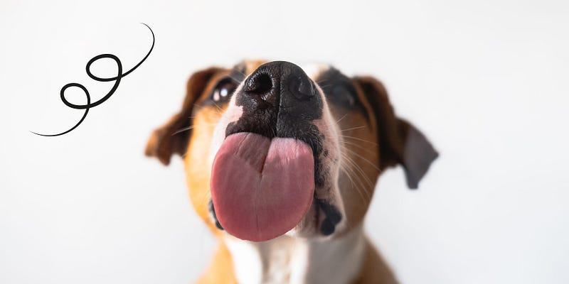 A close-up of a person's mouth with their tongue pressed up