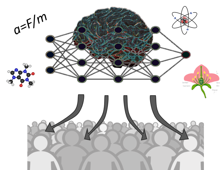 Illustration of cellular structures and organelles