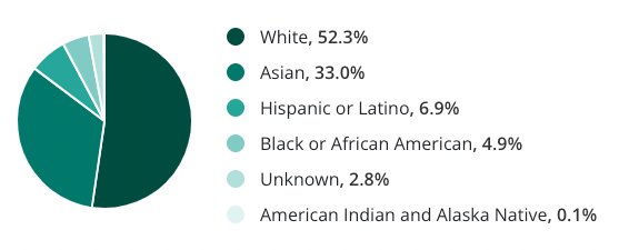 Racial Distribution in Software Engineering