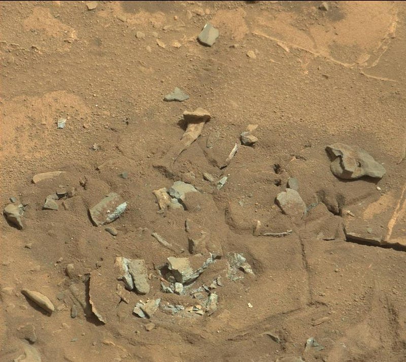 Alleged thigh bone found on Mars