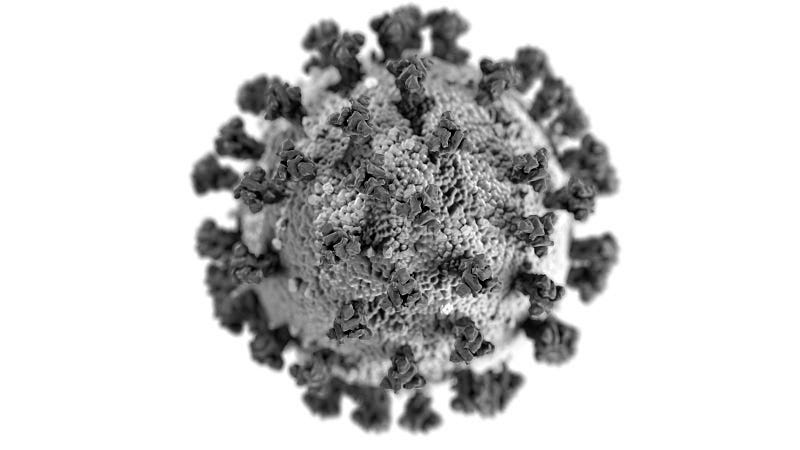 COVID-19 virus microscopic view