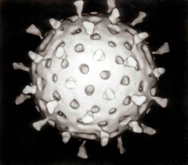 Electron microscope images of viruses