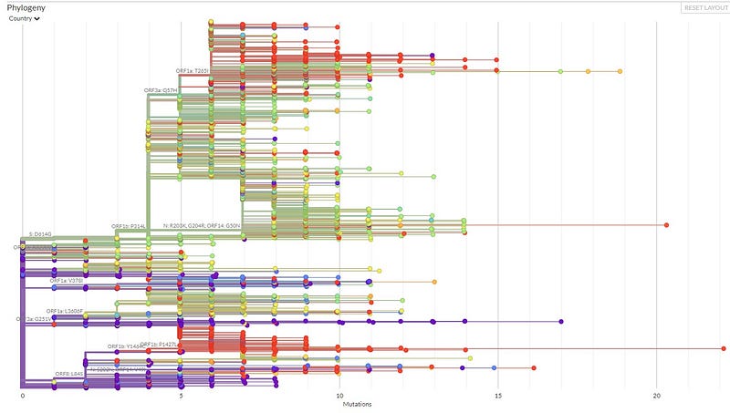 Visual representation of SARS-CoV-2 mutations