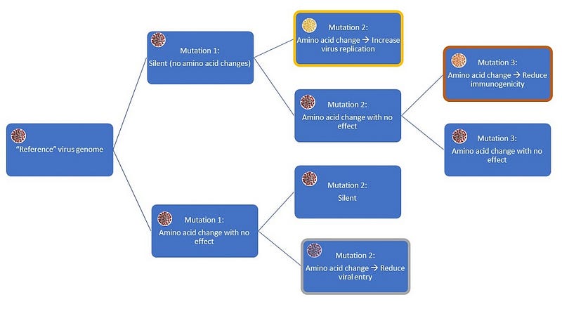 Diagram showing how mutations influence virus strains