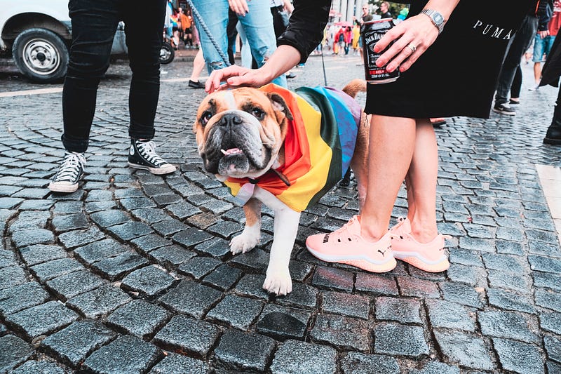 Dog Sitting Near People