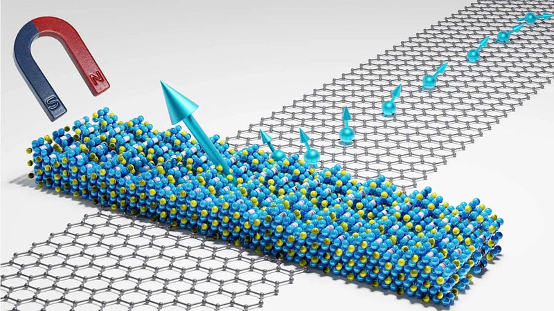 2D magnetic quantum material in action