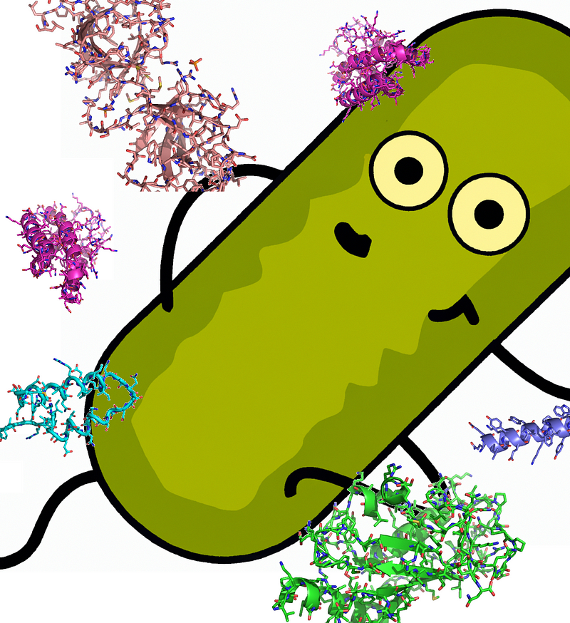 Recipe for isotopically labeled protein expression