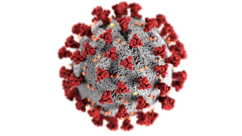 The complex nature of viruses