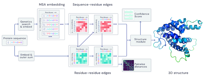 AlphaFold 2 architecture overview