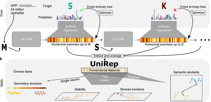 Workflow for deep protein representation learning