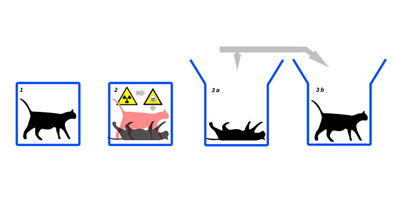 Schrödinger’s cat illustration of superposition