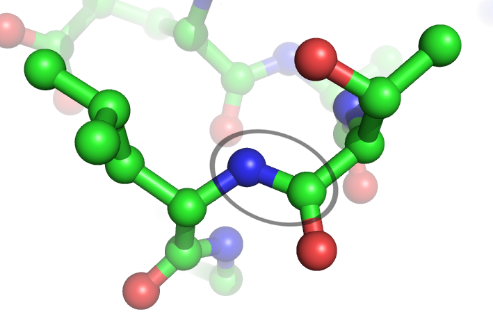 Structural protein diagram