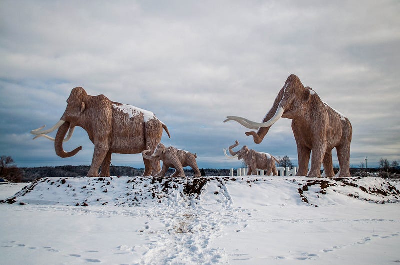 Woolly Mammoth replicas in Ice Age Park, Ukraine