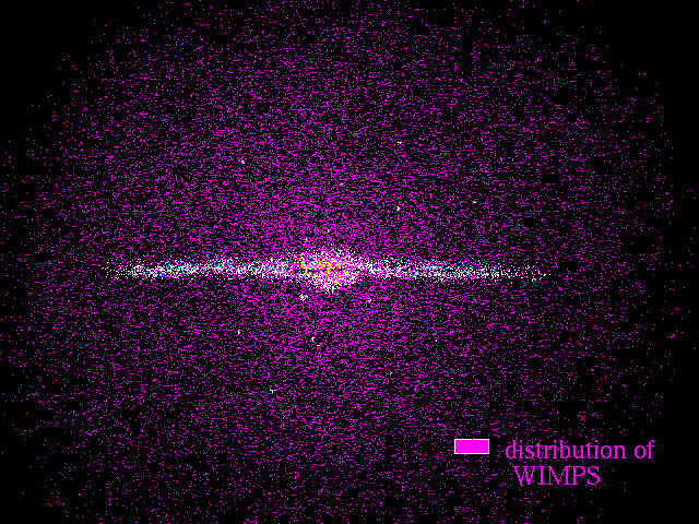 Simulation of WIMP distribution in a galaxy