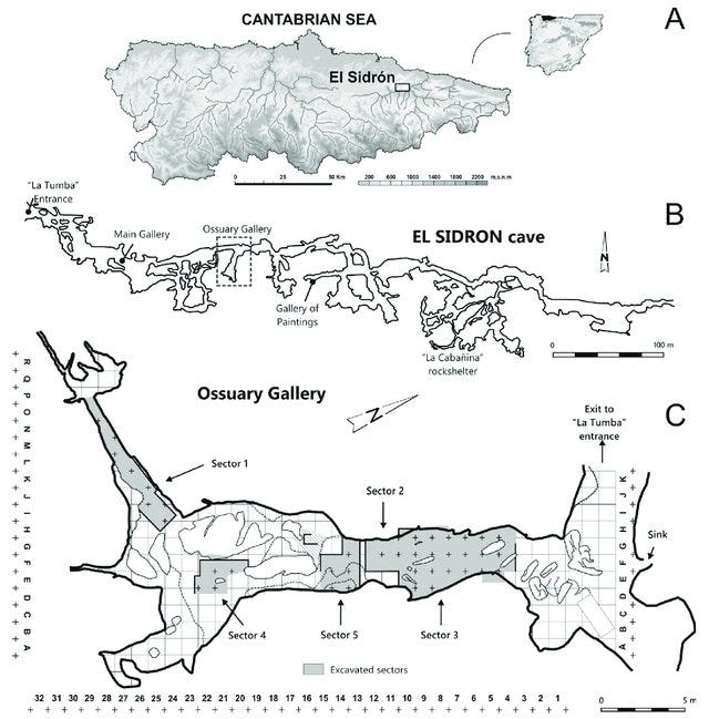 El Sidrón cave archaeological site