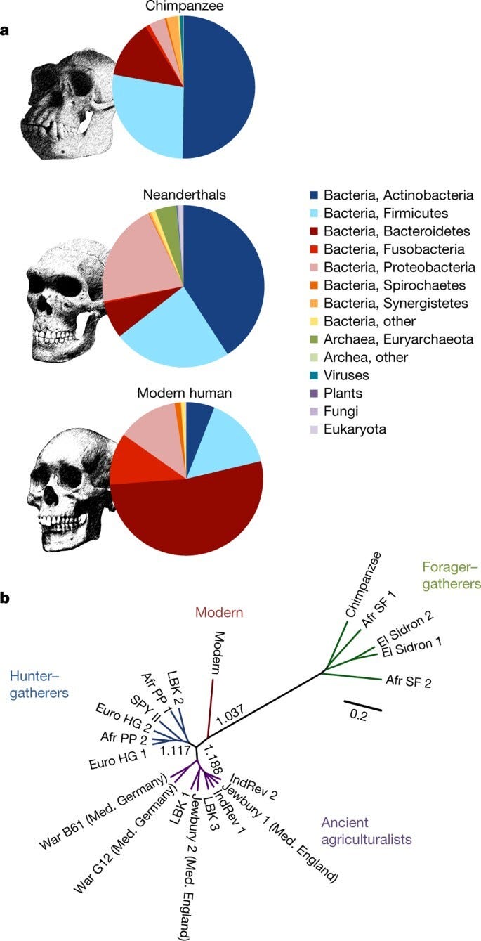 Oral microbiota comparison