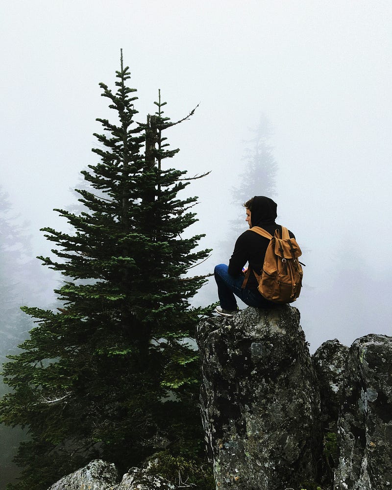 Exploring the meaning of solitude