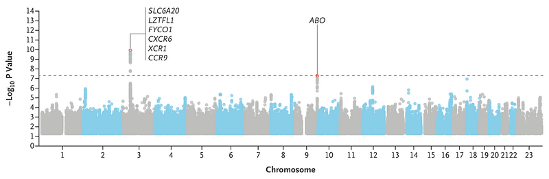 Manhattan plot showing genome-wide results for Covid-19 severe infection