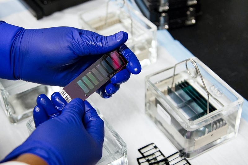 A technician at the Cancer Genomics Research Laboratory